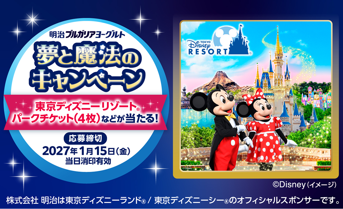 夢と魔法のキャンペーン