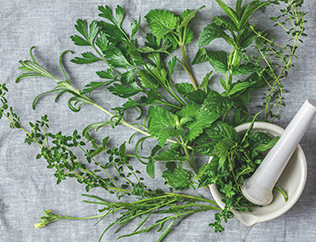 ハーブの画像