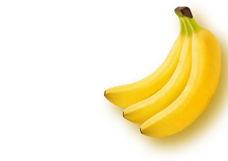 もはや定番 簡単朝バナナのすすめ 明治ブルガリアヨーグルト倶楽部 株式会社 明治