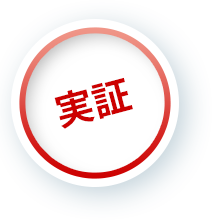 実証