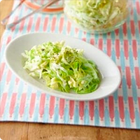 ヨーグルト乳酸キャベツ