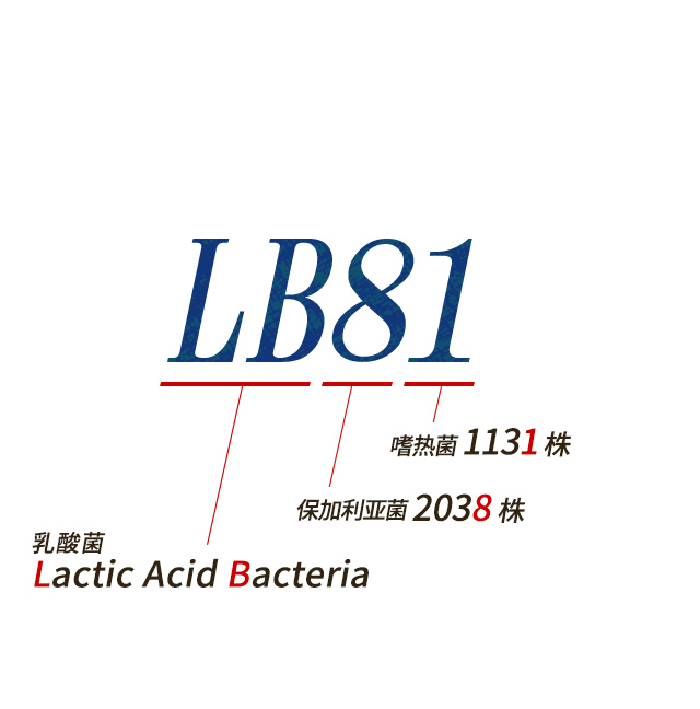 LB81