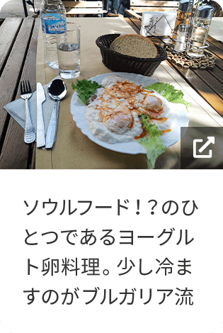 ソウルフード！？のひとつであるヨーグルト卵料理。少し冷ますのがブルガリア流